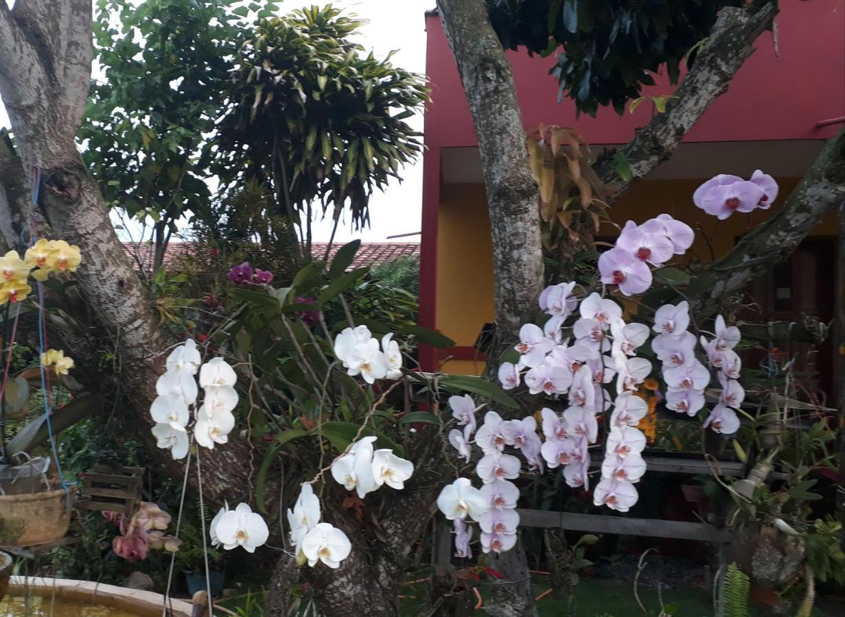 Hotel Pousada Bromélias Nova Viçosa Esterno foto